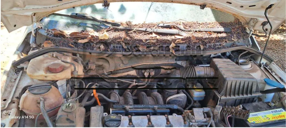 LOTE 001 - VW - SAVEIRO