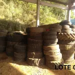 LOTE 006 - 80 (oitenta) pneus