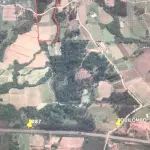 LOTE 001 - 01 Hectare Paraíso